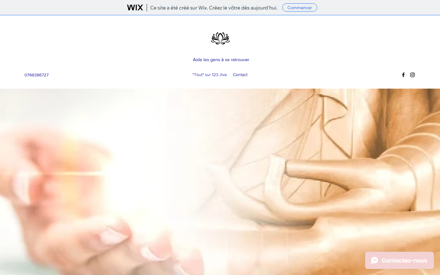 Capture du site officiel de Delphine Dametto, Énergéticienne, Guérisseuse, Maître Reiki, Médium,.