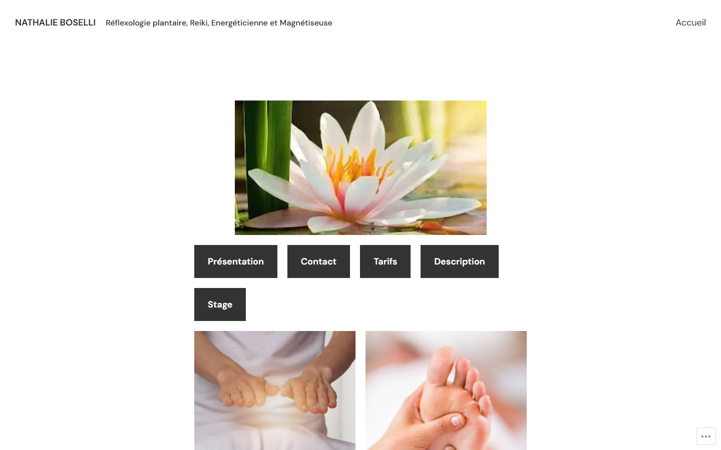 Capture du site officiel de Réflexologue, Maître Enseignant Reiki, Énergéticienne Nathalie BOSELLI