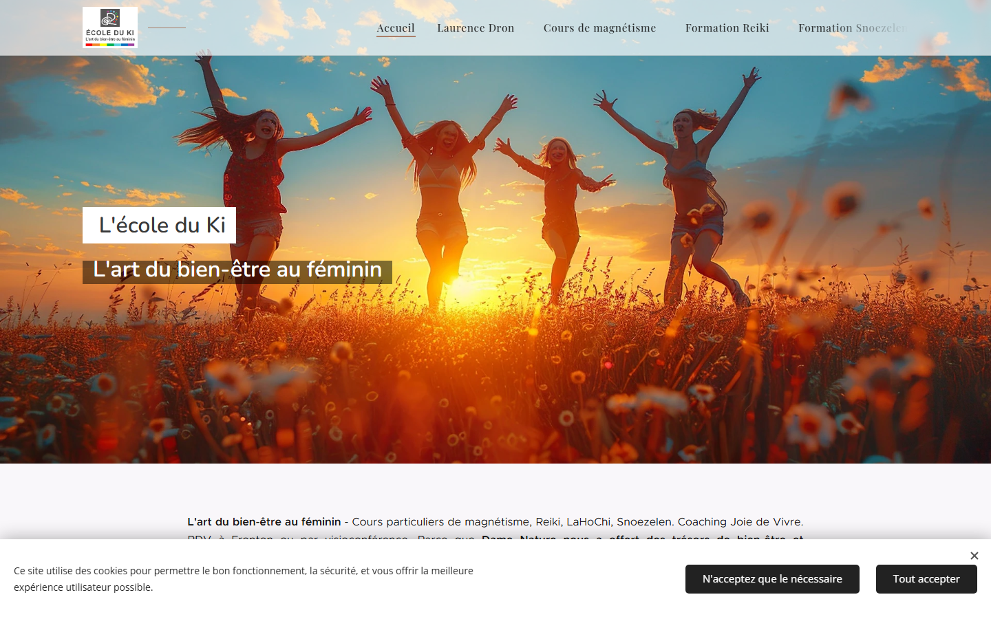 Capture du site officiel de Ecole du Ki
